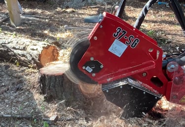 Stump grinder rental in North Florida